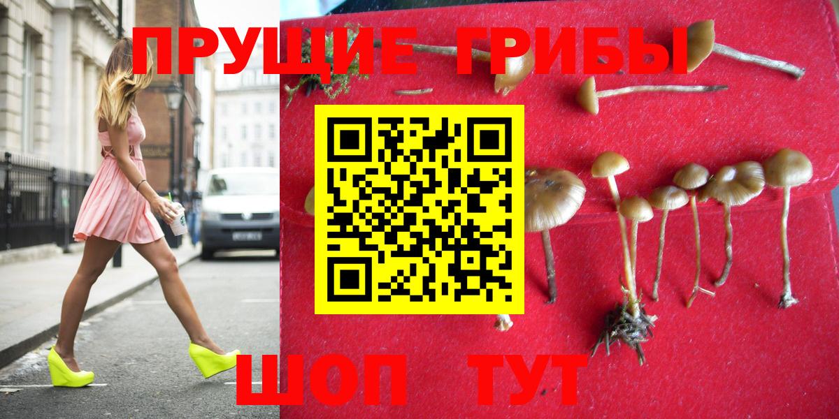 Галлюциногенные грибы Cubensis Златоуст